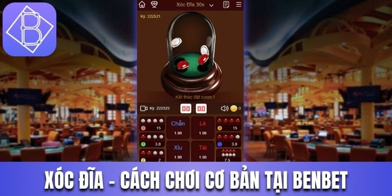 Xóc đĩa